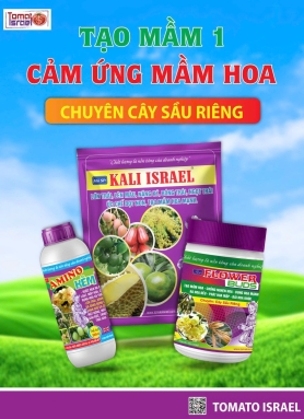 TẠO MẦM 1