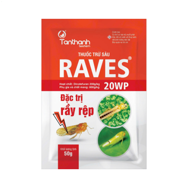 RAVES 20WP
