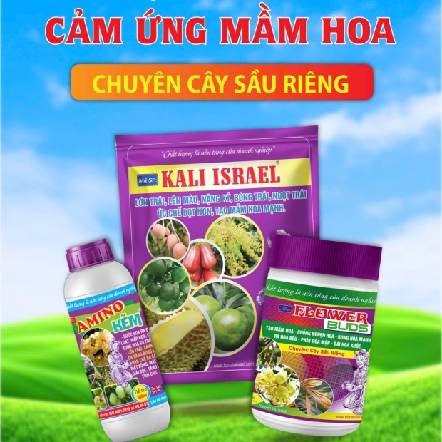 TẠO MẦM 1