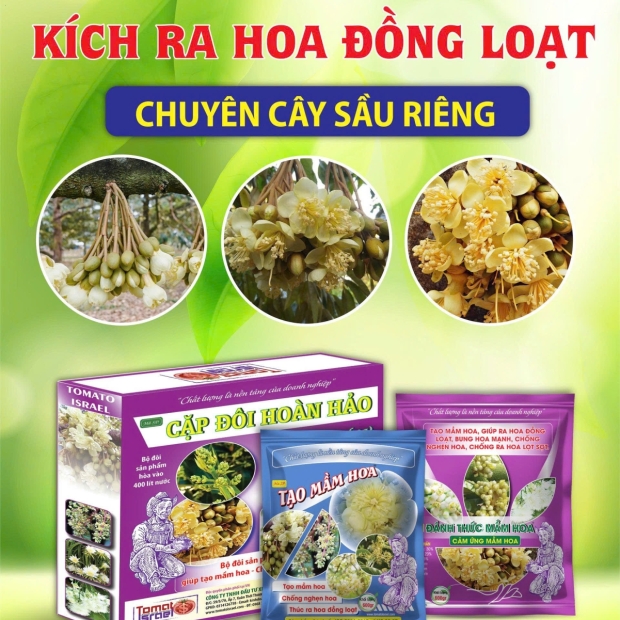 TẠO MẦM 3